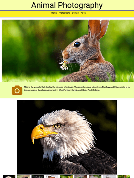 animals website