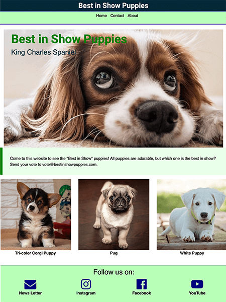 puppies website